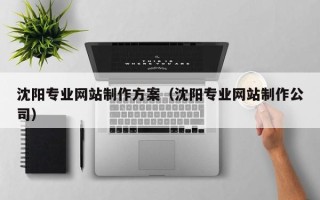 绥化沈阳专业网站制作方案（沈阳专业网站制作公司）
